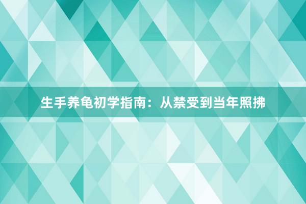 生手养龟初学指南：从禁受到当年照拂